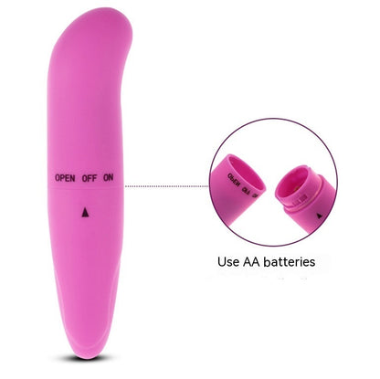 Little Dolphin Vibration Mini Vibration Female Massage