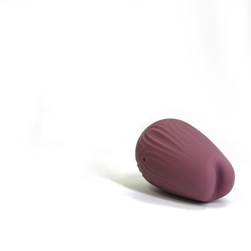 Vibrators Women's Massage Toys