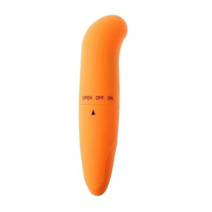 Little Dolphin Vibration Mini Vibration Female Massage